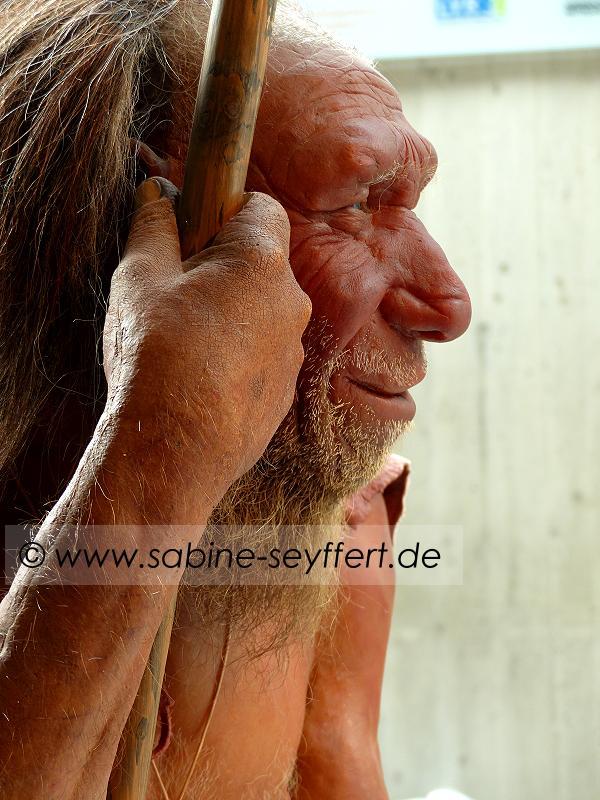 Neandertaler Museum