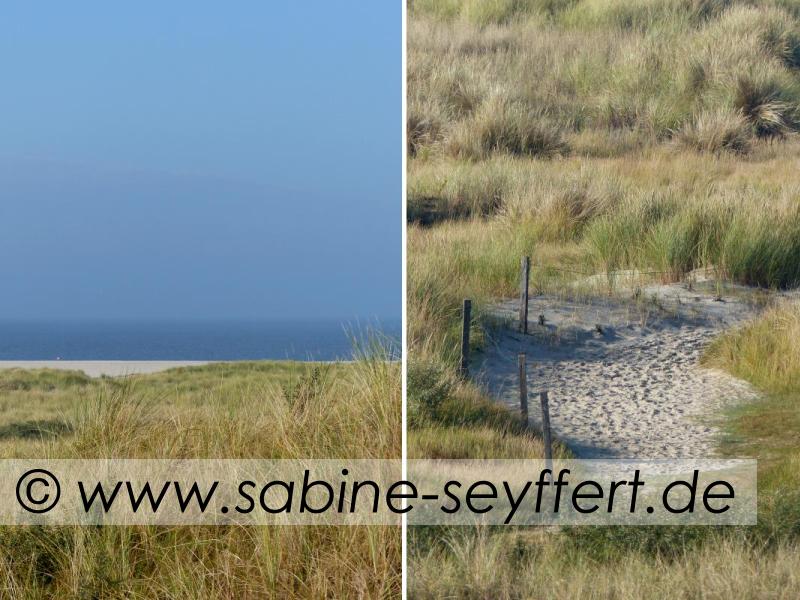 flinthoern-meerblick-und-sandweg-duene